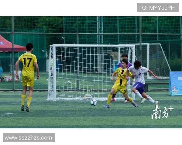 定场诗足球的魅力与激情在绿茵场上的交融与碰撞